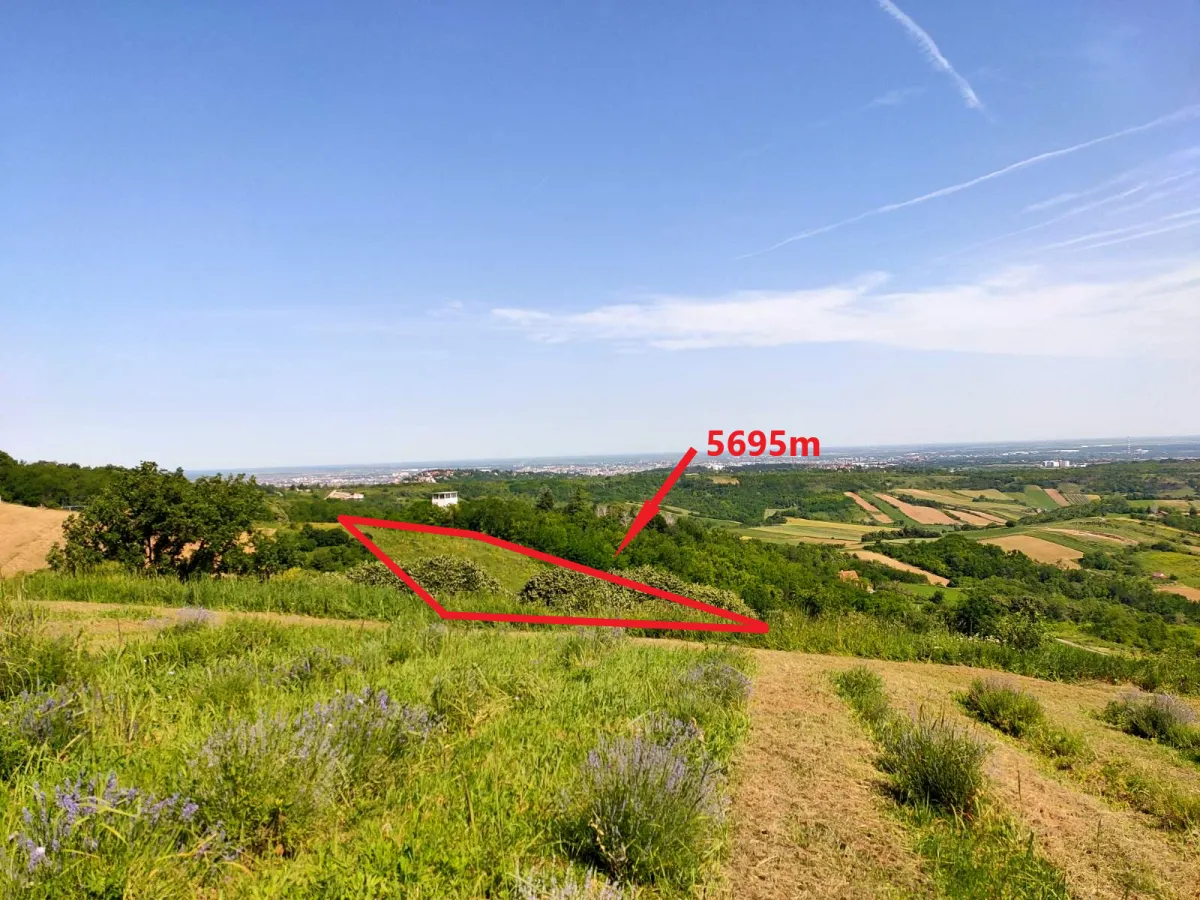 Prodaja, plac, 5600m², Novi Sad, Srbija
