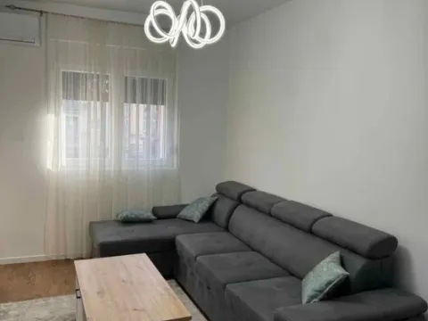 Izdavanje, jednosoban stan, 44m², Ljubović, Podgorica - image 4