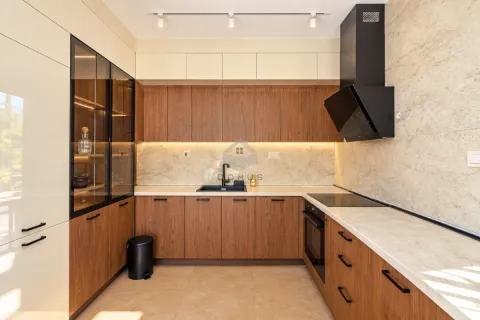Modern kitchen with wooden cabinetry, built-in appliances, and a marble countertop. - image 13