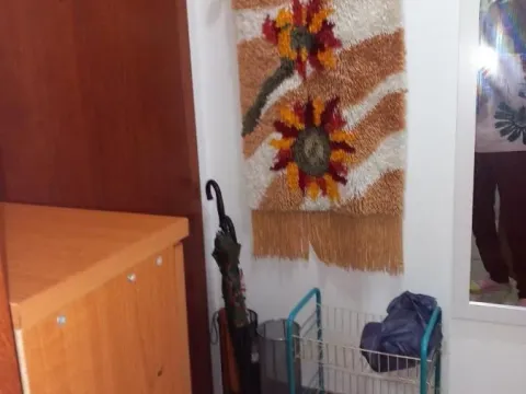 Izdavanje, garsonjera, 25m², Podbara, Novi Sad Sve Podlokacije - image 11