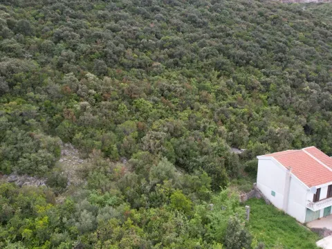 Prodaja, plac, 3585m², Krimovica, Kotor - image 23