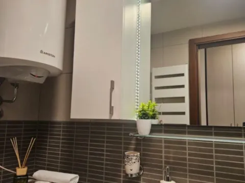 Izdavanje, jednosoban stan, 43m², Tološka šuma, Podgorica - image 11