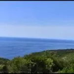 Prodaja, plac, 437m², Zagora, Kotor - image 2