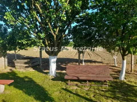 Prodaja, kuća, 194m², Šid, Srbija - image 43