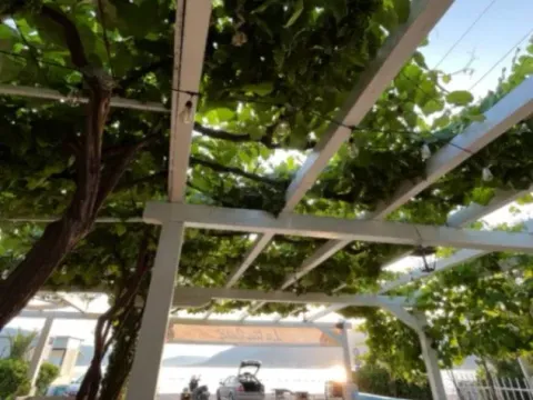 Prodaja, ugostiteljski objekat, 274m², Donja Lastva, Tivat - image 8