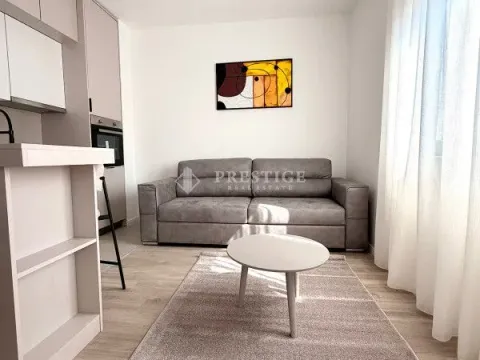 Rent, studio apartment, 25m², Zabjelo, Podgorica - image 5