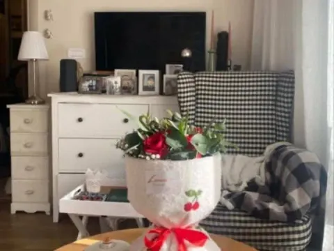 Stan in Nova Dalmatinska