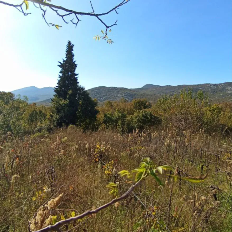 Prodaja, plac, 5000m², Podgorica, Crna Gora