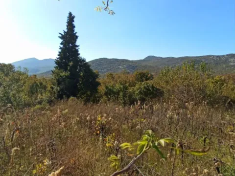 Prodaja, plac, 5000m², Podgorica, Crna Gora - image 10