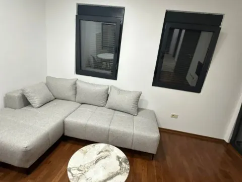 Izdavanje, jednosoban stan, 45m², Ljubović, Podgorica