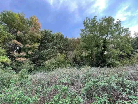 Prodaja, plac, 22323m², Ulcinj, Crna Gora - image 7