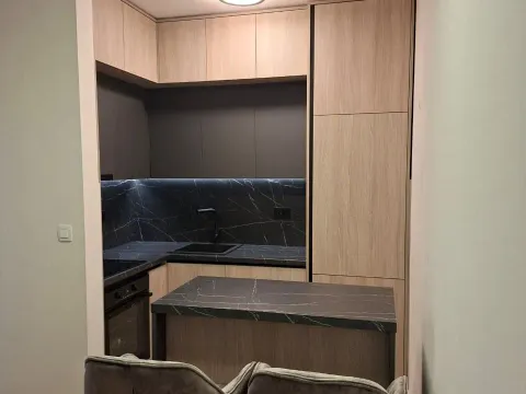 Izdavanje, jednosoban stan, 47m², Central Point, Podgorica - image 14