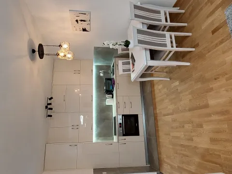 Izdavanje, jednosoban stan, 45m², Zabjelo, Podgorica - image 14