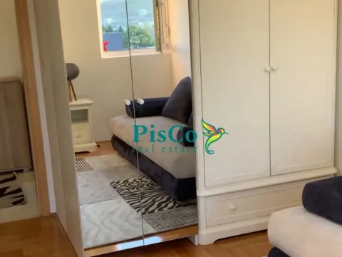 Rent, one bedroom apartment, 411m², Stari Aerodrom, Podgorica - image 4