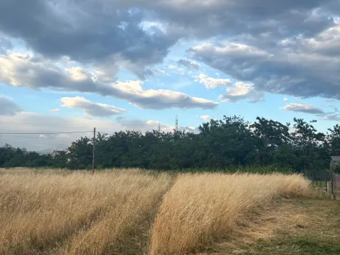 Prodaja, plac, 5000m², Donja Gorica, Podgorica - image 4