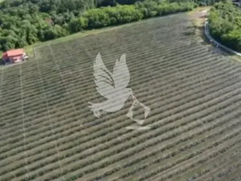 Sale, land lot, 32000m², Babe, Sopot - image 9