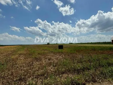 Prodaja, plac, 1000m², Čortanovci, Inđija - image 9