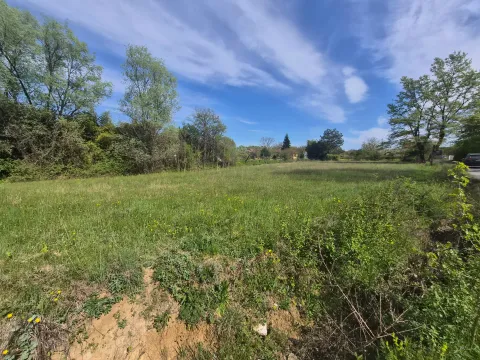 Prodaja, plac, 2000m², Ćurilac, Danilovgrad - image 3