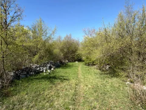 Prodaja, plac, 8979m², Kuči, Podgorica - image 2
