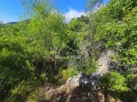 Sale, land lot, 14000m², Pečurice, Bar - image 9