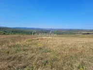 Prodaja, plac, 18200m², Grocka, Beograd - image 4