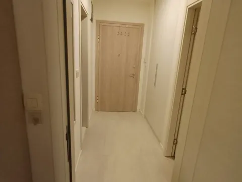 Rent, one bedroom apartment, 49m², Central Point, Podgorica - image 9