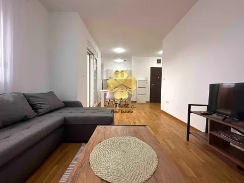 Izdavanje, jednosoban stan, 52m², Zagorič, Podgorica - image 2