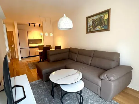 Izdavanje, jednosoban stan, 42m², Central Point, Podgorica - image 5
