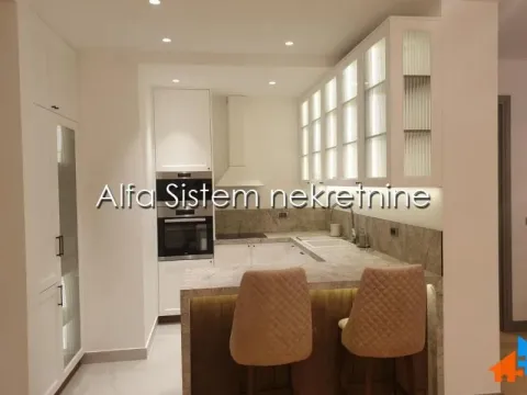 Izdavanje, dvosoban stan, 104m², Vračar Centar, Vračar Sve Podlokacije - image 4