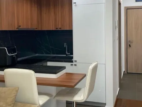 Rent, one bedroom apartment, 30m², Master Kvart, Podgorica - image 3