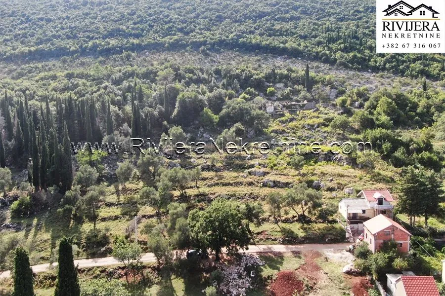 Prodaja, plac, 4323m², Žvinje, Herceg Novi