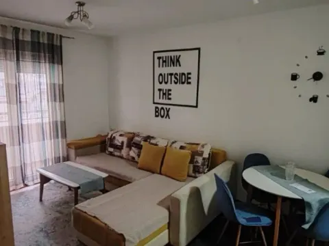 Izdavanje, jednosoban stan, 44m², Stari Aerodrom, Podgorica - image 8