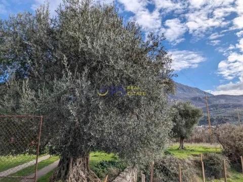 Prodaja, kuća, 267m², Bar, Crna Gora - image 10