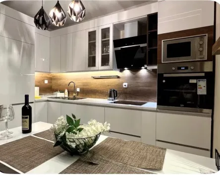 Rent, one bedroom apartment, 55m², Dobrota, Kotor - image 2
