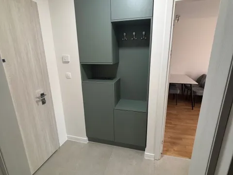 Rent, one bedroom apartment, 41m², Zabjelo, Podgorica - image 2