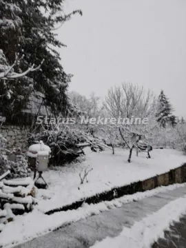 Snow-covered yard and garden with trees. - image 4