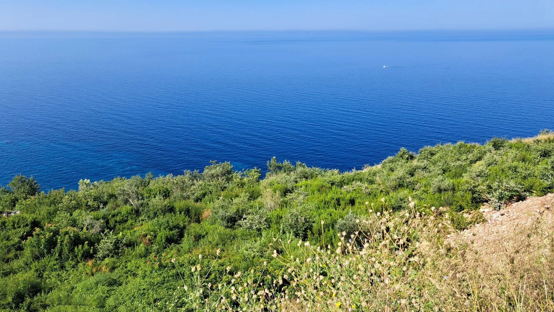 Prodaja, plac, 1458m², Skočiđevojka, Budva