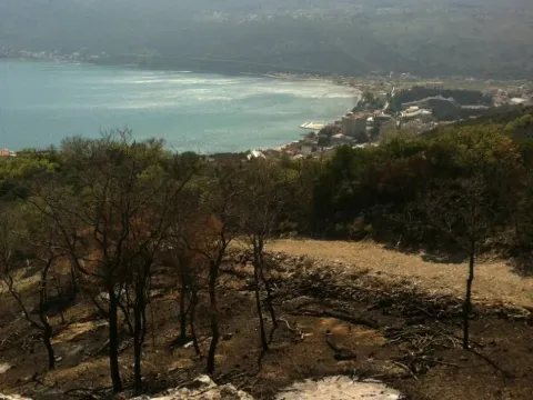 Prodaja, plac, 26826m², Herceg Novi, Crna Gora - image 3