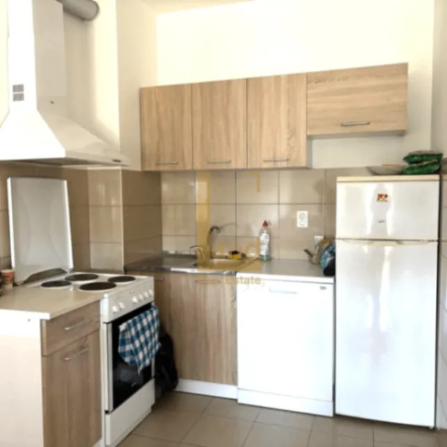 Rent, one bedroom apartment, 55m², Ljubović, Podgorica