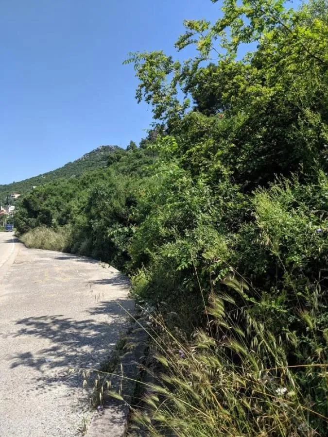 Prodaja, plac, 400m², Dobre Vode, Bar
