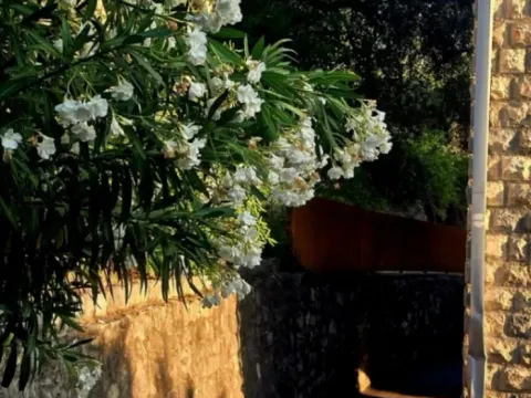 Prodaja, trosoban stan, 48m², Rafailovići, Budva - image 12