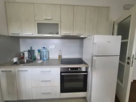 Izdavanje, jednosoban stan, 46m², Podgorica, Crna Gora - image 5