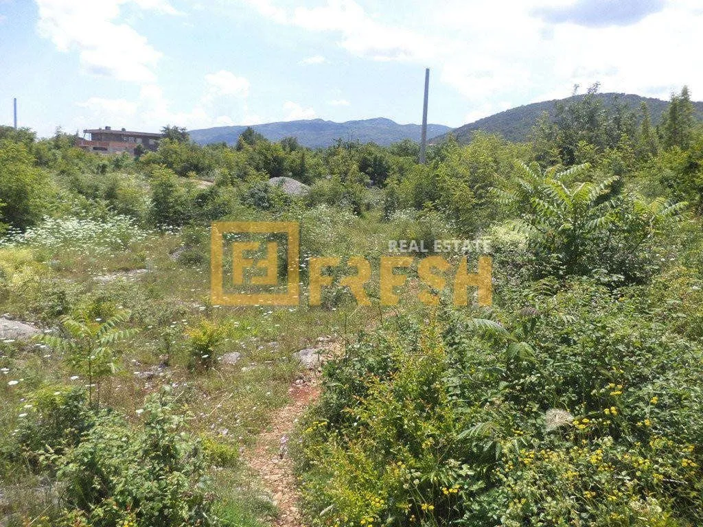 Prodaja, plac, 1200m², Danilovgrad, Crna Gora