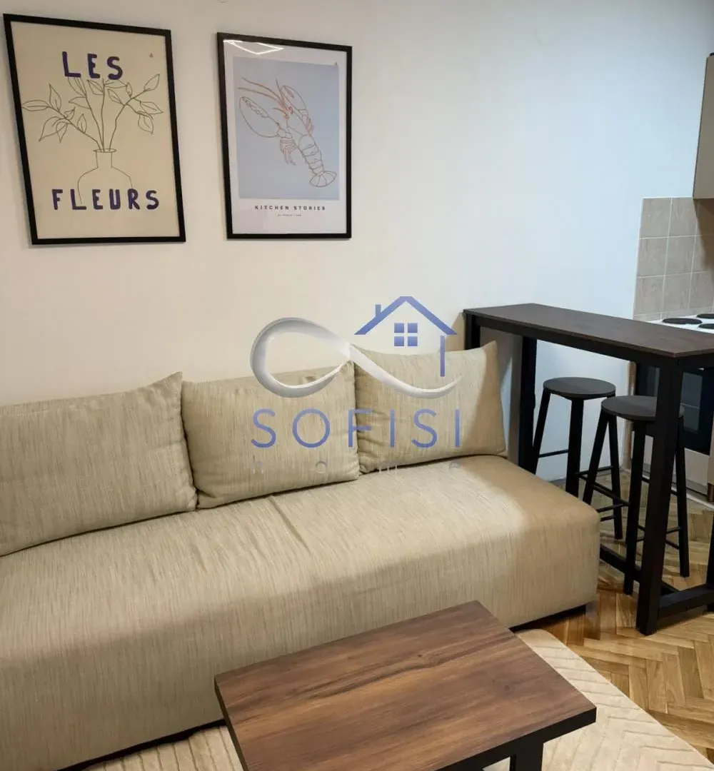 Izdavanje, stan, 21m², Grbavica, Novi Sad Sve Podlokacije