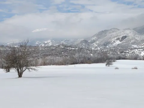 Sale, land lot, 2844m², Radigojno, Kolašin - image 3