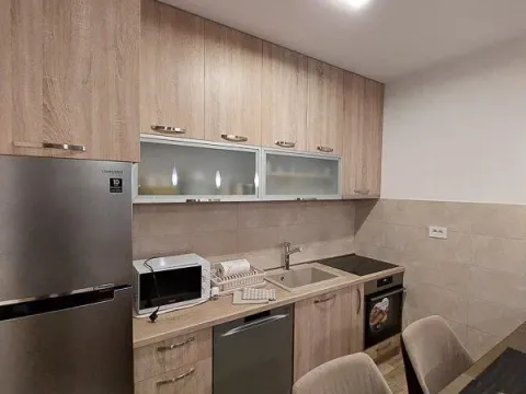 Izdavanje, jednosoban stan, 50m², Tuški Put, Podgorica - image 11