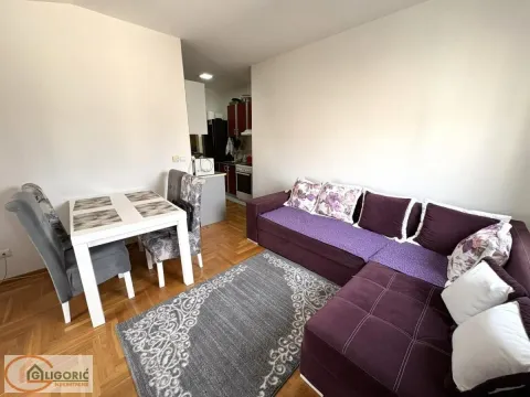 Izdavanje, dvosoban stan, 49m², Vojvode Vlahovica, Beograd - image 2