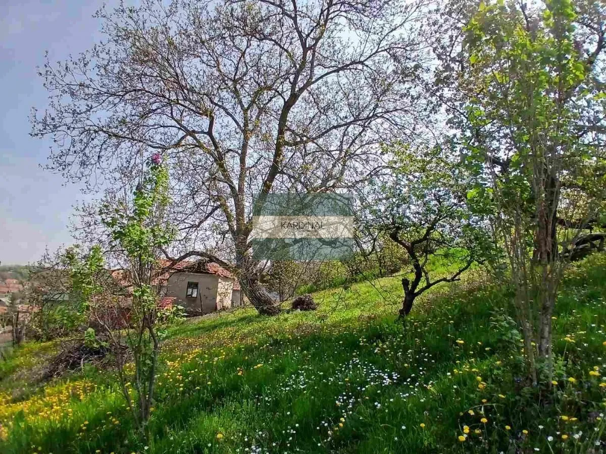 Prodaja, plac, 1258m², Majur, Jagodina