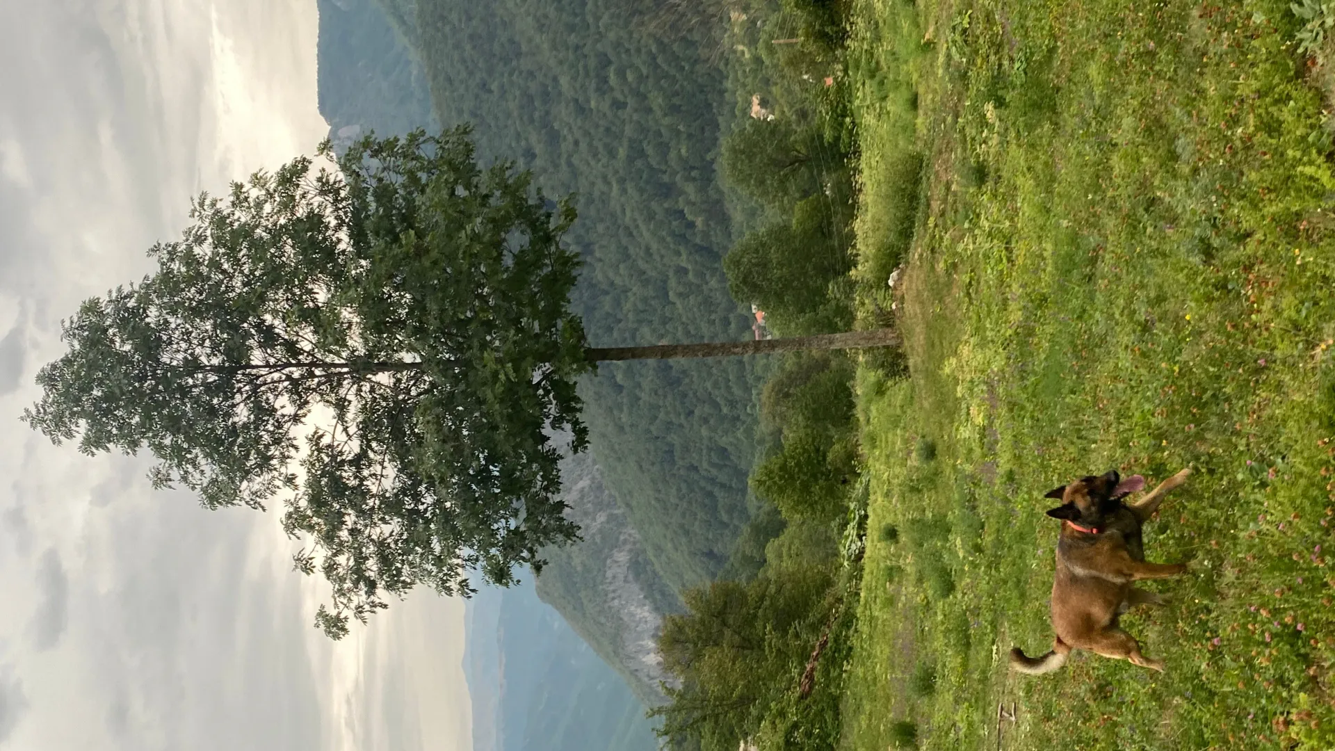 Prodaja, plac, 3754m², Plužine, Crna Gora