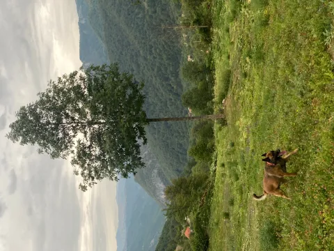 Prodaja, plac, 3754m², Plužine, Crna Gora - image 2